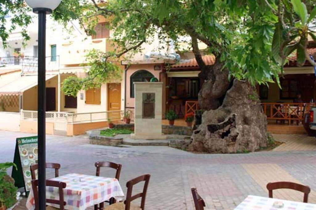 Bougainvilla Фоделе Екстер'єр фото